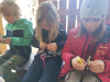 thumbnail_IMG_20240426_134328